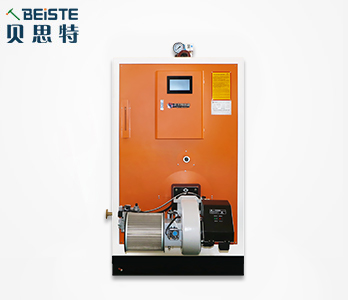 0.5噸全預(yù)混燃氣蒸汽發(fā)生器